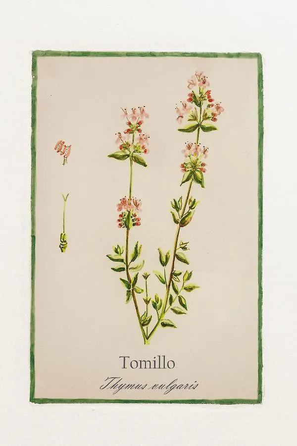 Arte De Cozina Hotel Antequera