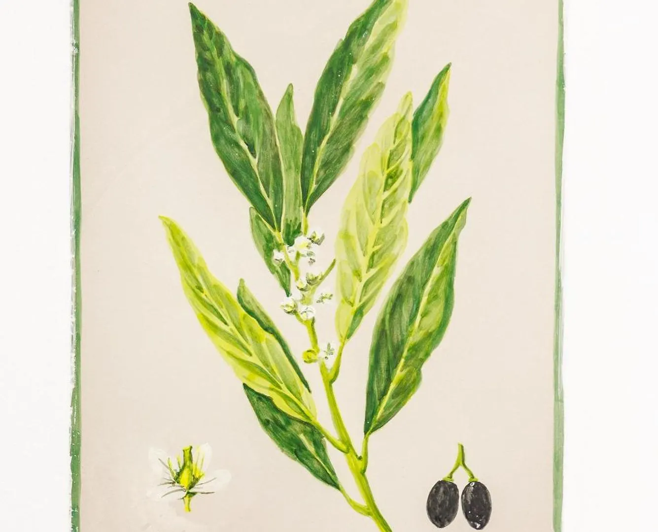 Arte De Cozina Hotel Antequera